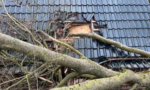 Sturmschadenbeseitigung