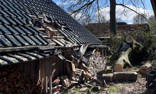 Sturmschadenbeseitigung